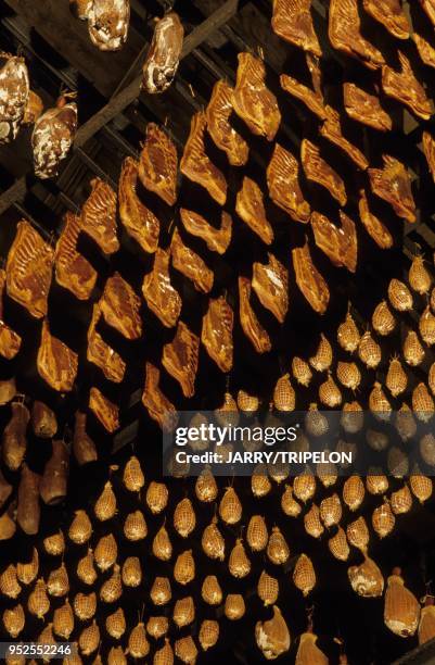 Tuye of Papy Gaby, smoked meats in the tuye, village of Gilley, massif of Jura mountains, Doubs department, Franche Comte region, France.