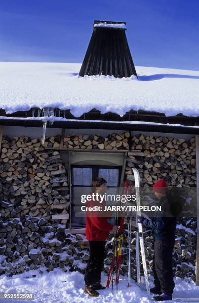 Go to cross country skiing, Bed and breakfast Le Cret l Agneau, village of La Longeville, massif of Jura mountains, Doubs department, Franche Comte...