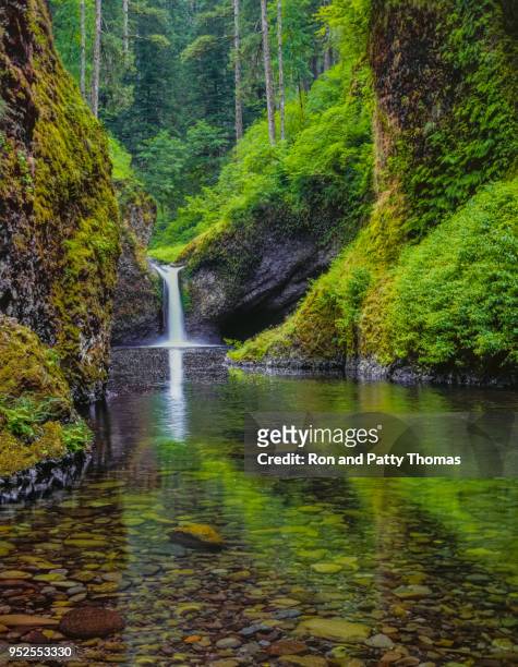 punchbowl falls in columbia river gorge national scenic area,  on eagle creek, oregon - moss stock pictures, royalty-free photos & images