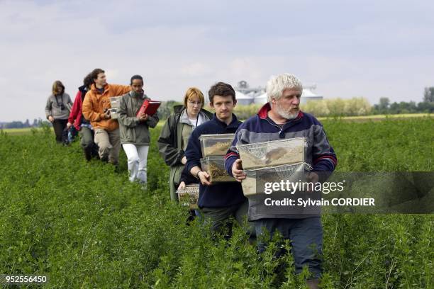 Reintroduction du grand hamster dans des parcelles de luzerne conventionnees aupres d'agriculteurs de la commune d'Elsenheim. F 68 Sous l'egide de...