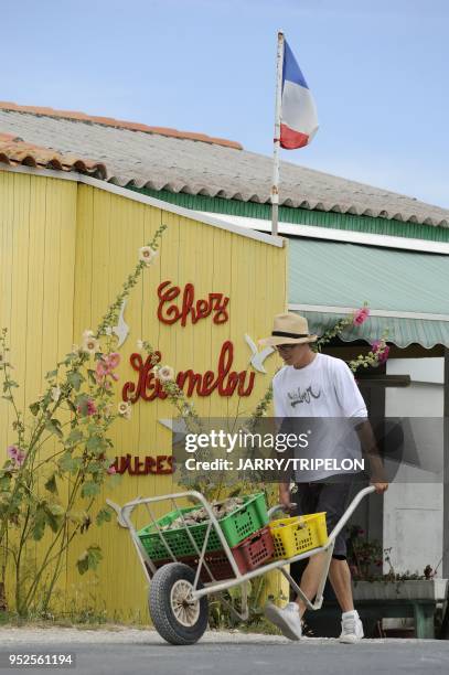 Restaurant Chez Mamelou and oyster farmer's hut at La Baudissiere channel, village of Le Chateau d'Oleron, Oleron island, Charente-Maritime...