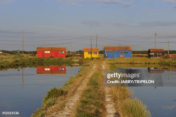 The claires is a specialty of Marennes-Oleron, they serve to refining oysters, La Baudissiere harbor, channel and oyster farmer's hut, village of Le...