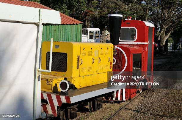 The little train of Saint Trojan les Bains, Oleron island, Charente-Maritime department, Poitou-Charentes region, France.