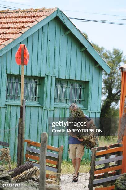 La Baudissiere harbor, channel and oyster farmer's hut, village of Le Chateau d'Oleron, Oleron island, Charente-Maritime department, Poitou-Charentes...