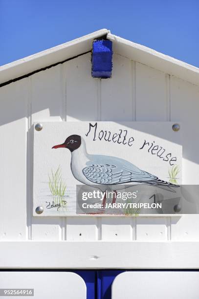 Detail of a beach hut at Le Crotoy, Baie de Somme and Cote d'Opale area, Somme department, Picardie region, France.