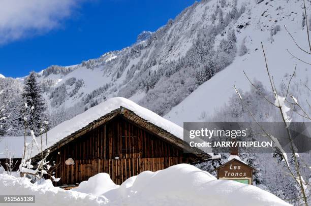 Haute-Savoie Massif des Aravis, station de ski et village Le Grand Bornand, vallée du Bouchet, lieu-dit Les Tronc.