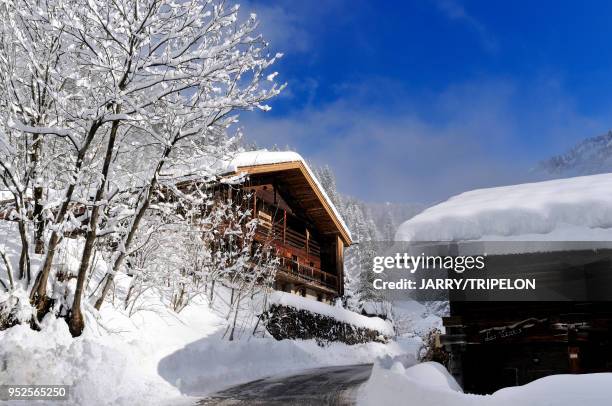 Haute-Savoie Massif des Aravis, station de ski et village Le Grand Bornand, vallée du Bouchet, lieu-dit Les Tronc, chalet.