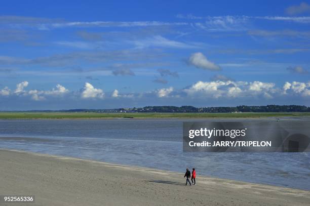 The beach of Le Crotoy, Baie de Somme and Cote d'Opale area, Somme department, Picardie region, France.