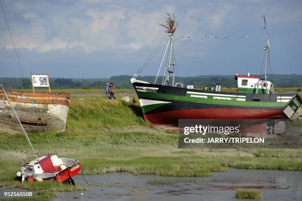 The harbour of Le Crotoy, Baie de Somme and Cote d'Opale area, Somme department, Picardie region, France.