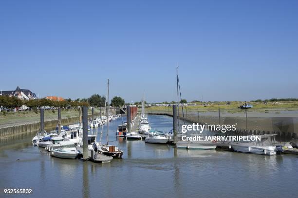 The harbour of Le Crotoy, Baie de Somme and Cote d'Opale area, Somme department, Picardie region, France.