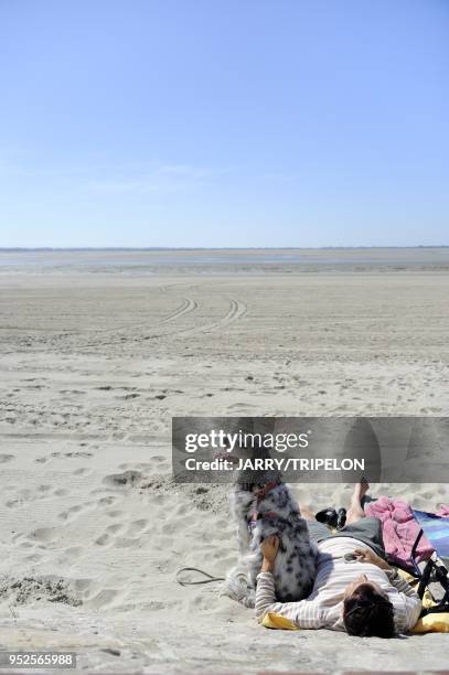 The beach of Le Crotoy at low tide, Baie de Somme and Cote d'Opale area, Somme department, Picardie region, France.