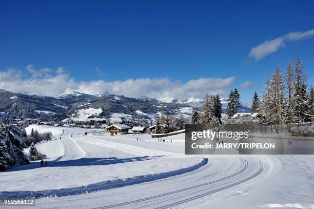 Haute-Savoie Pays du Mont-Blanc, Mege?ve, ski de fond et sentier pie?ton a La Livraz//France, Haute-Savoie Country of Mont-Blanc, Mege?ve,...