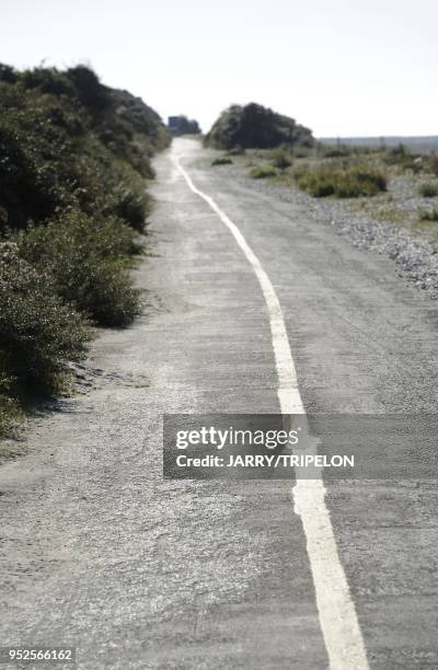 The bike path of Baie de Somme bay at Le Hourdel, area of Cayeux-sur-Mer, Cote d'Opale area, Somme department, Picardie region, France.