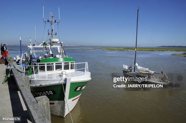 Trawler at Le Hourdel harbour near Cayeux-sur-Mer, Baie de Somme bay and Cote d'Opale area, Somme department, Picardie region, France.