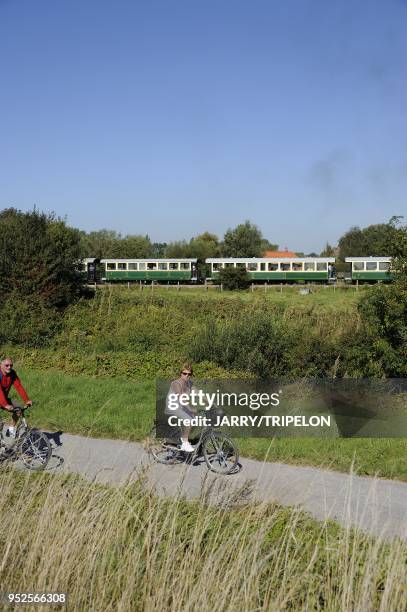 Ride bike and Somme Bay Railway, Baie de Somme and Cote d'Opale area, Somme department, Picardie region, France.