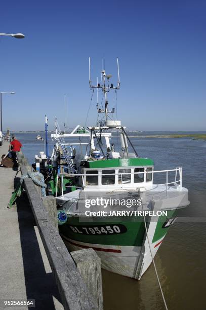 Trawler at Le Hourdel harbour near Cayeux-sur-Mer, Baie de Somme bay and Cote d'Opale area, Somme department, Picardie region, France.