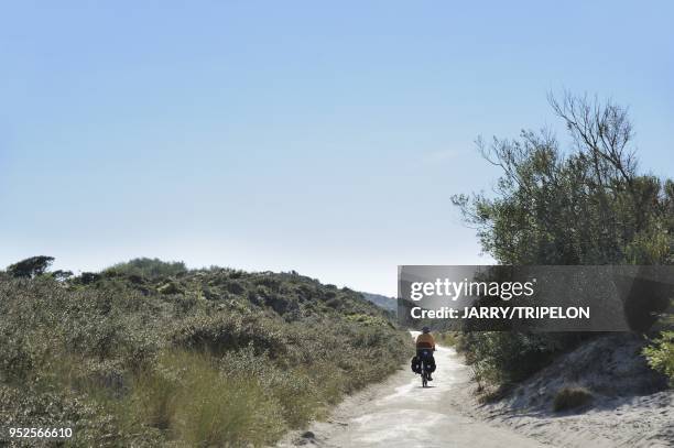 Bike ride on the bike path of Baie de Somme bay at Le Hourdel, area of Cayeux-sur-Mer, Cote d'Opale area, Somme department, Picardie region, France.