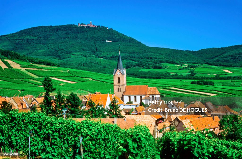 Rodern Vue du vignoble d'Alsace sur le château du Haut-Koenigsbourg... News ...