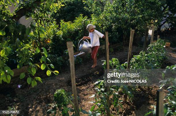 Enfant faisant jardinage - Arrosage - Aix en Provence - Bouches du Rhone - France.