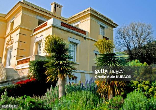 Dracaeana draco, Echium candidans, Jardin canarien, Domaine du Rayol, Le Rayol-Canadel, Var, France.
