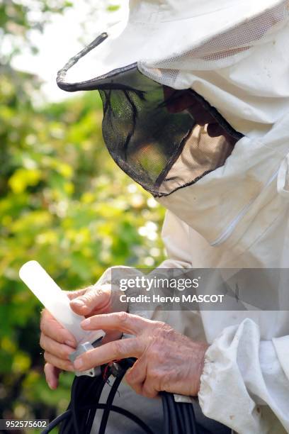 Un apiculteur avec une vareuse de protection prépare un produit pour détruire un nid de frelons asiatiques, 10 aout 2009, Lot-et-Garonne, France.
