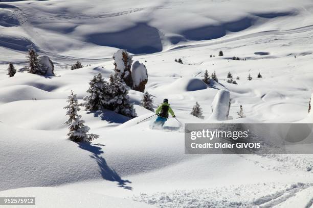 58 La Plagne Tarentaise Stock Photos, HighRes Pictures, and Images