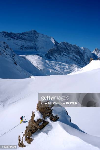 Ski de randonnee dans le parc national de la Vanoise, au fond La Grande Casse, Savoie, France, MR.