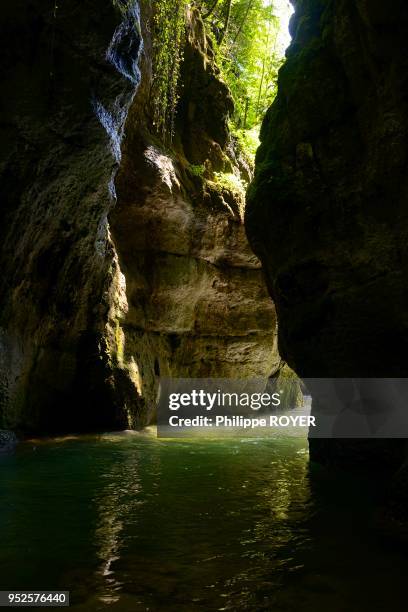 Gorge près de la route fermée des Grands Goulets près de Les Baraques en Vercors dans la Drome, France.