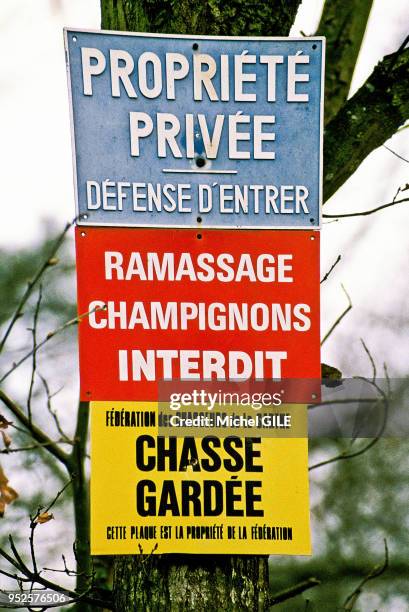 Pancartes sur un tronc d'arbre avec des inscriptions 'Propriete privee, ramassage champignons interdit, chasse gardee', Sarthe, France.