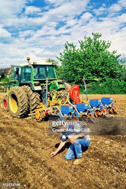 Agriculteur semant du mais, ici le paysan cherche à savoir à quelle profondeur est la graine dans la terre, Sarthe, France.