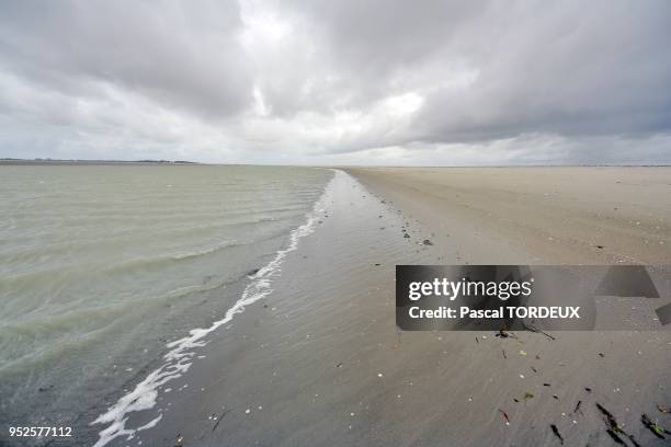 LANDSCAPE SEASIDE , BAIE DE SOMME, PICARDIE, FRANCE.