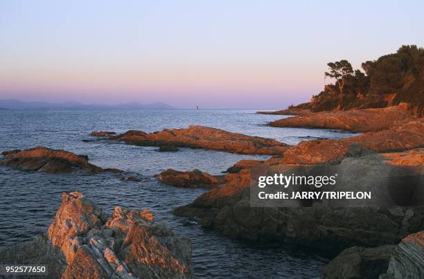 Coucher de soleil sur le Cap Saint Pierre de la Baie des Canébiers du Golfe de Saint-Tropez, Saint-Tropez, Var, région Provence-Alpes-Côte d'Azur,...