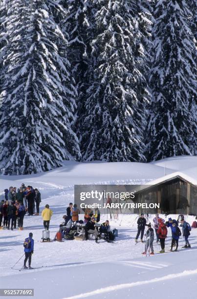 Ski de fond, Les Saisies, espace Diamant, Beaufortain, departement Savoie, region Rhones-Alpes, France cross-country ski, Les Saisies, espace...