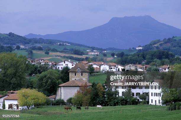 En arriere plan La Rhune, Espelette, Pays Basque, departement Pyrenees-Atlantique, region Aquitaine, France in background La Rhune mountain,...