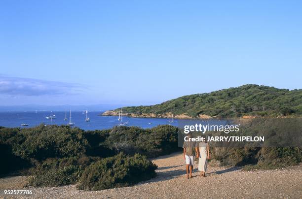 Couple d'amoureux sur la presqu'île du Langoustier sur l'île de Porquerolles, Iles d'Hyères, Var, région Provence-Alpes-Côte d'Azur, France Couple...