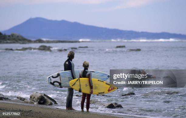 Surfeurs, en arriere plan La Rhune, Guetary, Pays Basque, departement Pyrenees-Atlantique, region Aquitaine, France surfers, in background La Rhune,...