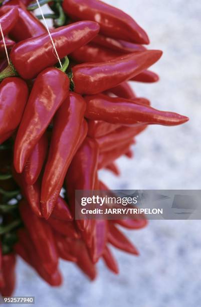 Piments d Espelette, Espelette, Pays Basque, departement Pyrenees-Atlantique, region Aquitaine, France Espelette pimentos, Espelette, Pays Basque,...