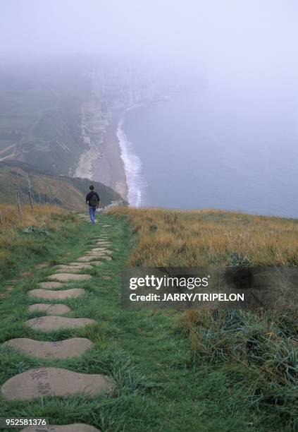 Falaise depuis le sentier des douaniers et du littoral GR 21, Etretat, Cote d Albatre, Pays de Caux, departement Seine-Maritime, region Normandie,...