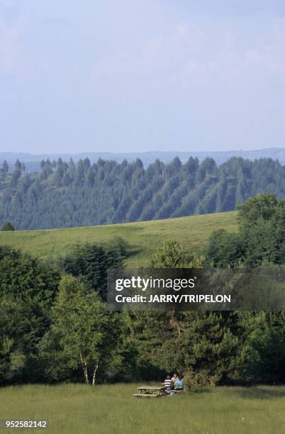 Pique-nique au Suc-au-May, Massif des Monedieres, departement Correze, region Limousin, France picnic in Suc-au-May, Monedieres Massif, Correze,...