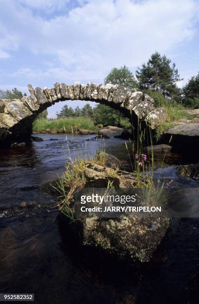 Pont de Senoueix ou pont Peri sur le Taurion, d origine romaine ou medievale, Senoueix, departement Creuse, region Limousin, France Senoueix or Peri...
