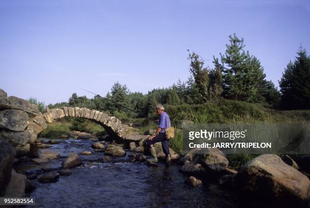 Pecheur de truite, pont de Senoueix ou pont Peri sur le Taurion, d origine romaine ou medievale, Senoueix, departement Creuse, region Limousin,...