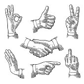 Male Hand sign. Like, Handshake, Ok, Stop, Middle finger, Victory