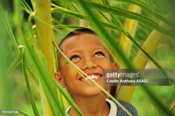 Portrait of young boy amid green dense vegetation, Banda Aceh, Sumatra, Indonesia.