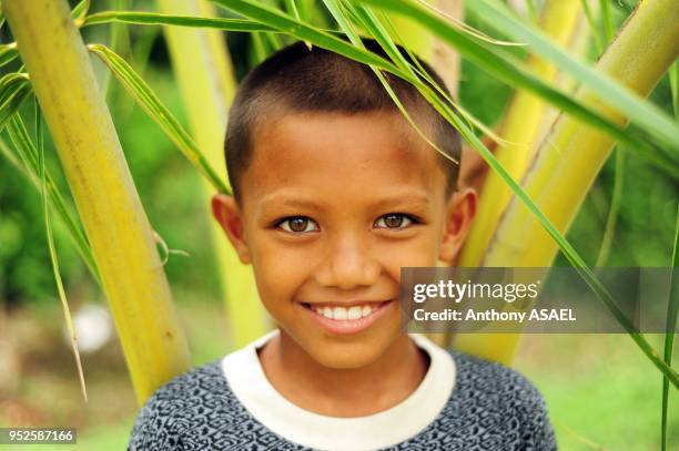 Portrait of young boy amid green dense vegetation, Banda Aceh, Sumatra, Indonesia.