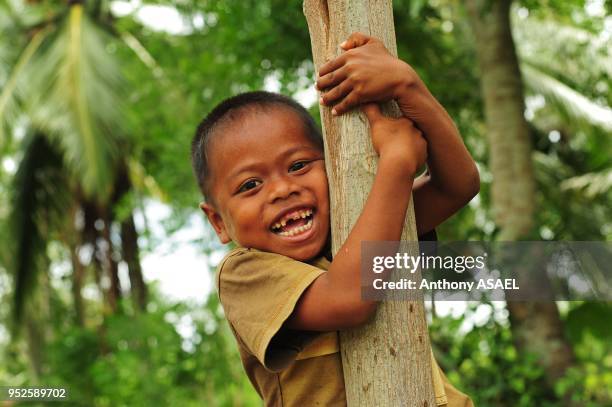 Young smiling boy climbing tree, Banda Aceh, Sumatra, Indonesia.