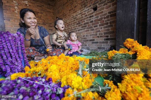 Hindu Tihar festival worships Goddess Laxmi, the Goddess of wealth, during 5 days. The flowers are sold for the sisters and brothers gifts.