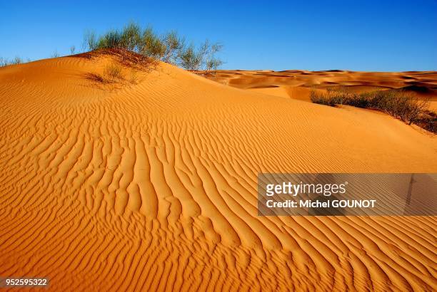 Paysages de dunes du desert de l'Erg Ubari dans le sud de la Libye.