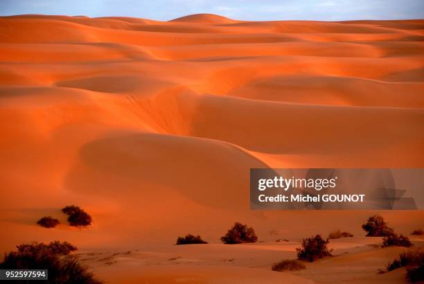 Paysages de dunes du desert de l'Erg Ubari dans le sud de la Libye.