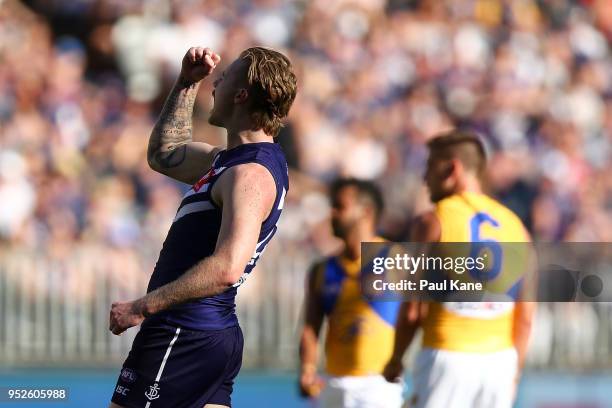 Cam McCarthy of the Dockers celebrates a goal during the Round 6 AFL match between the Fremantle Dockers and West Coast Eagles at Optus Stadium on...