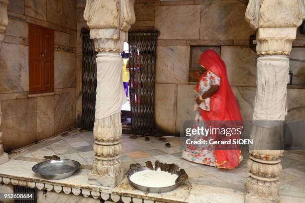 238 Karni Mata Photos and Premium High Res Pictures - Getty Images